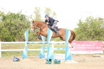 SBM_004848