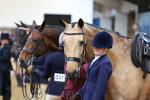 SBM_20135