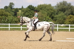 SBM_002059