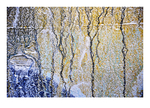 Paysage d'hiver