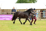 SBM_00458
