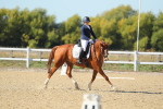 SBM_001801