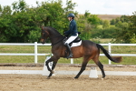 SBM_007778