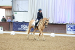 SBM_000736