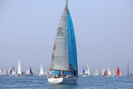190629 MINT JULEP GBR4410L D43A2374 1