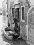 COMMUTER - VENICE