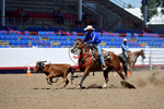 3HRodeo8-11-25_PRCASteer_05168_