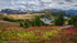 Sunshine Meadows