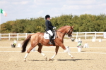 SBM_019249