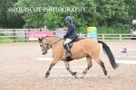 BPP_0195