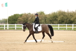 SBM_006513