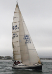 100425 AMETHYST GBR6640 IMG_4370jpg