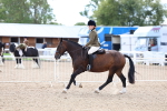 SBM_15823