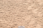 240720A-160048-15423