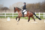 SBM_007294