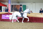Class P - M&M Champs portfolio