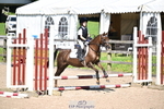 Showjumping Competition portfolio