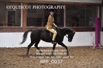BPP_0037