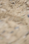 SBM_004820