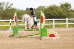 SBM_003884