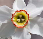 Macro World portfolio