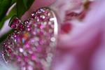 Flowers Set 08 - 48
