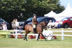 3E7A6229