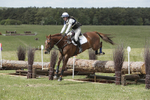 BVHT 140517  IXC -394