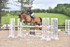 BPP_1774