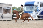 SBM_01499