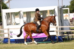 SBM_19623