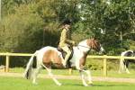 SBM_67464