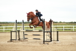 SBM_006306