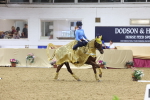 SBM_10184