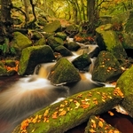 Autumn Padley