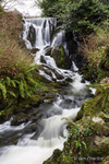 Upper Waterfall at Crawfordsburn Country Park