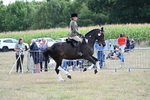 WJ7_6429