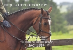JAC_1197