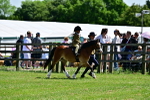 SBM_05750