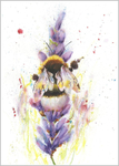 Bumblebee and Lavender Fine Art Print 573