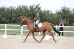 SBM_017399