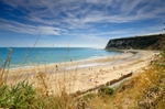 z2380 Whitecliff Bay