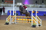 1I0A5469_Class 10 - Senior Foxhunter - 120m