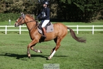 407-UNNAMED.(809948)-Lucy.Strong-TrotUp+SJ portfolio