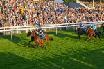 260724-Race 6-Duran-5529