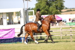 SBM_19624