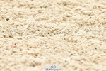 230701A-121727-06043