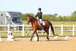 SBM_010559