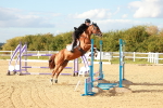 SBM_002321