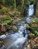 ANGLESEY WATERFALL